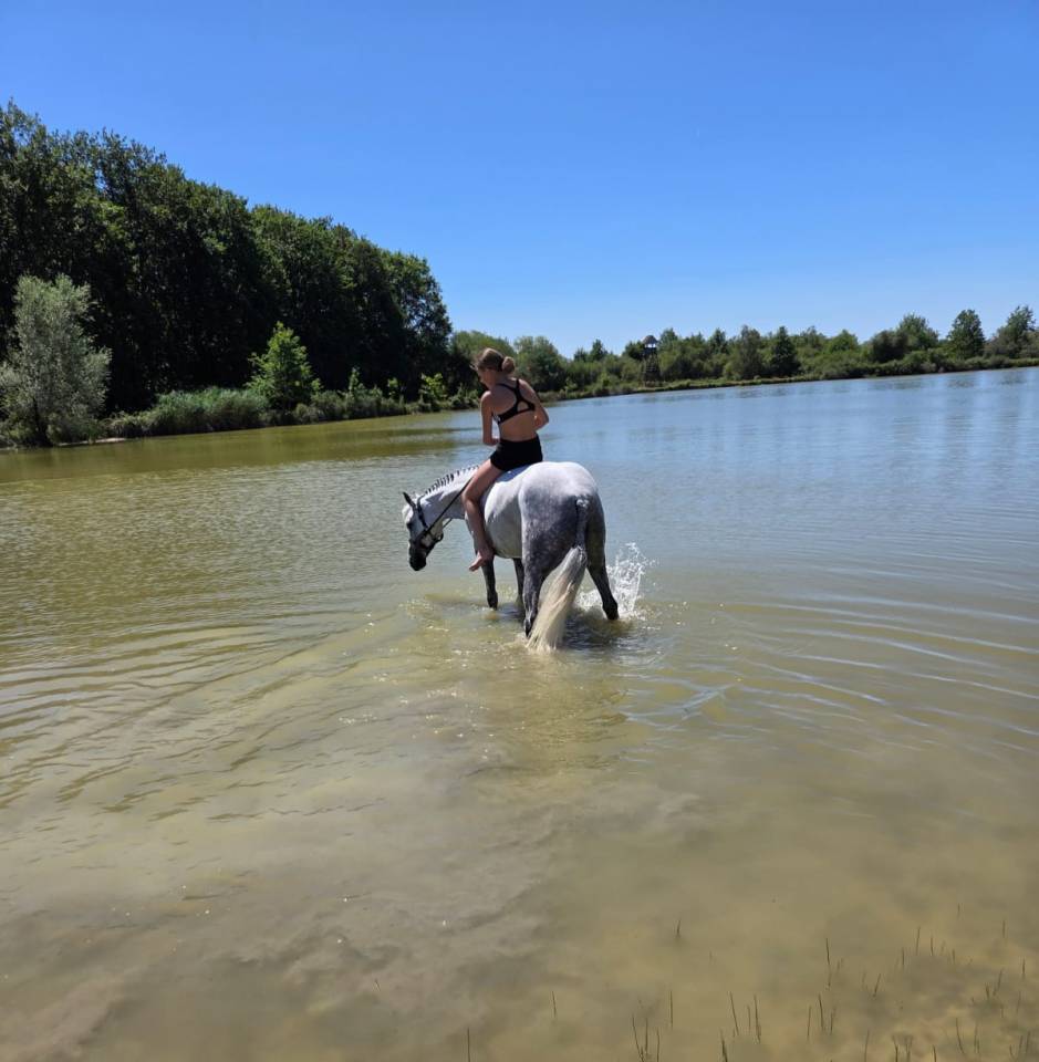 Poney sport
