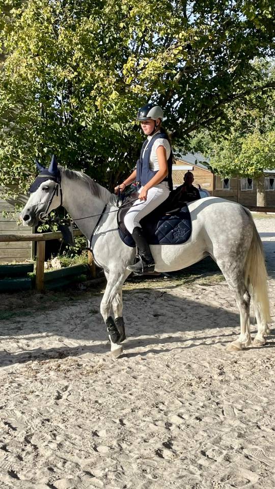 Poney 
