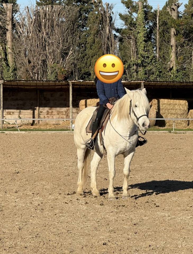 &Agrave; VENDRE : Hawa&iuml; du Peticlaux
