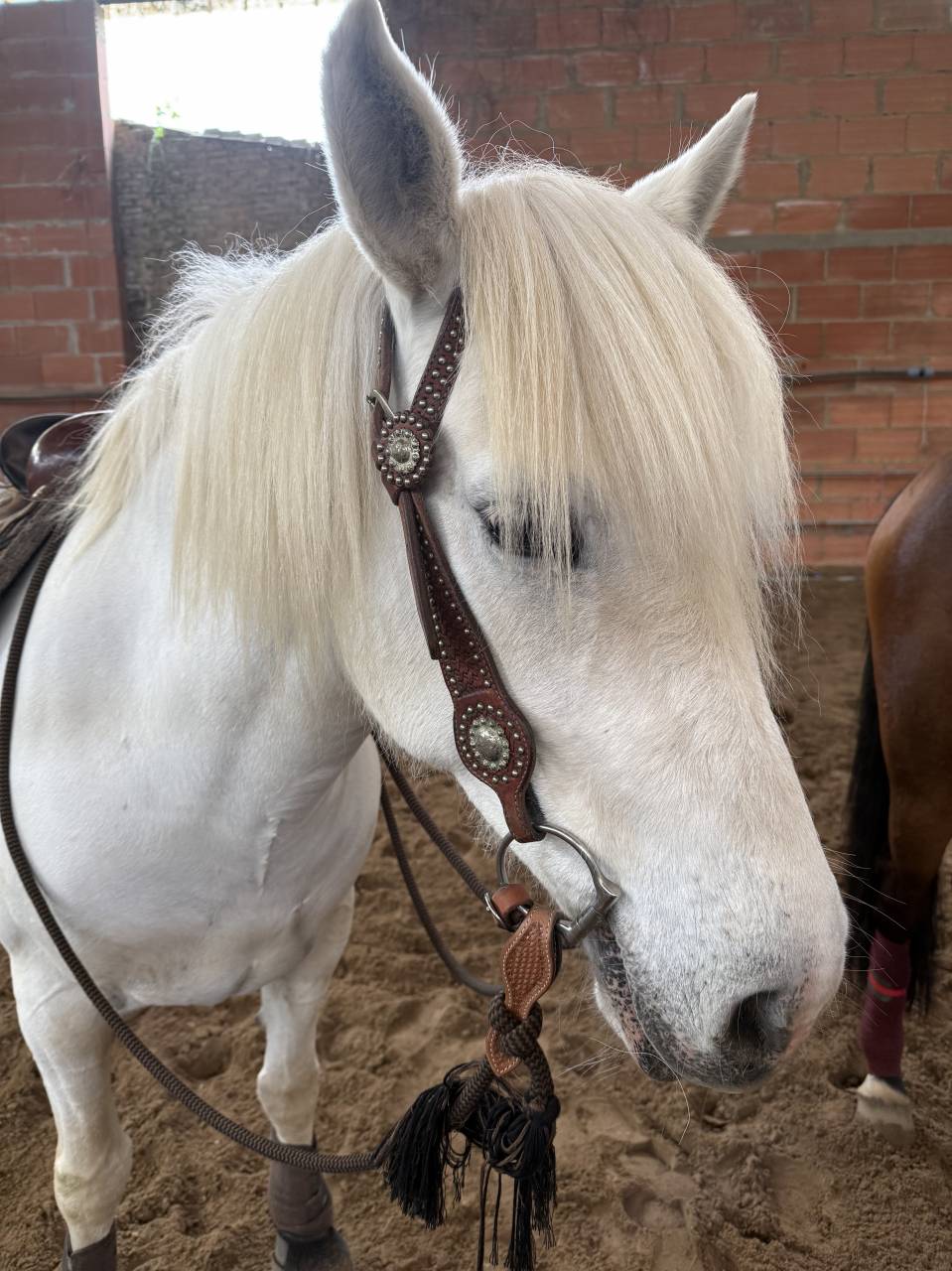 &Agrave; VENDRE : Hawa&iuml; du Peticlaux