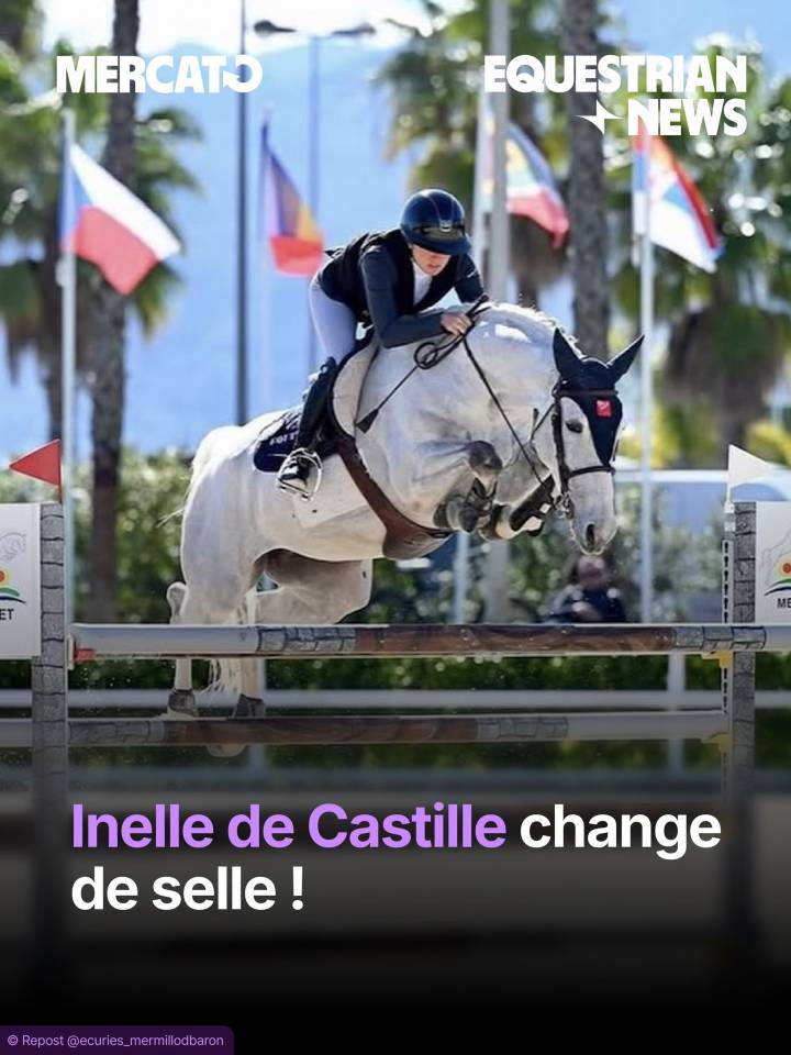 CHEVAUX &Agrave; VENDRE &ndash; DIRECT &Eacute;LEVEUR