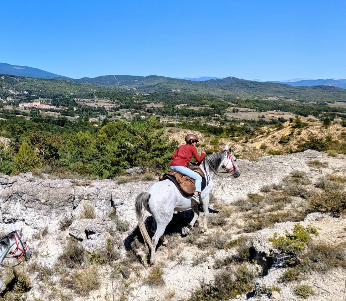 Cheval de loisir, Assurance tous risques