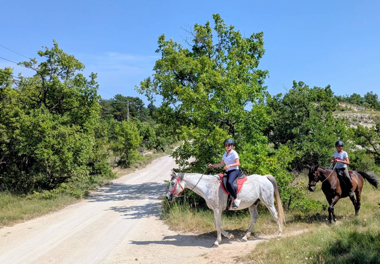 Cheval de loisir, Assurance tous risques