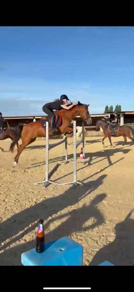 Demi-pension ou tier - Chasselay (69)