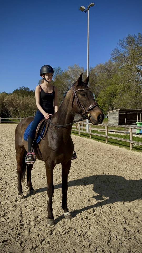 super cheval &agrave; vendre 
