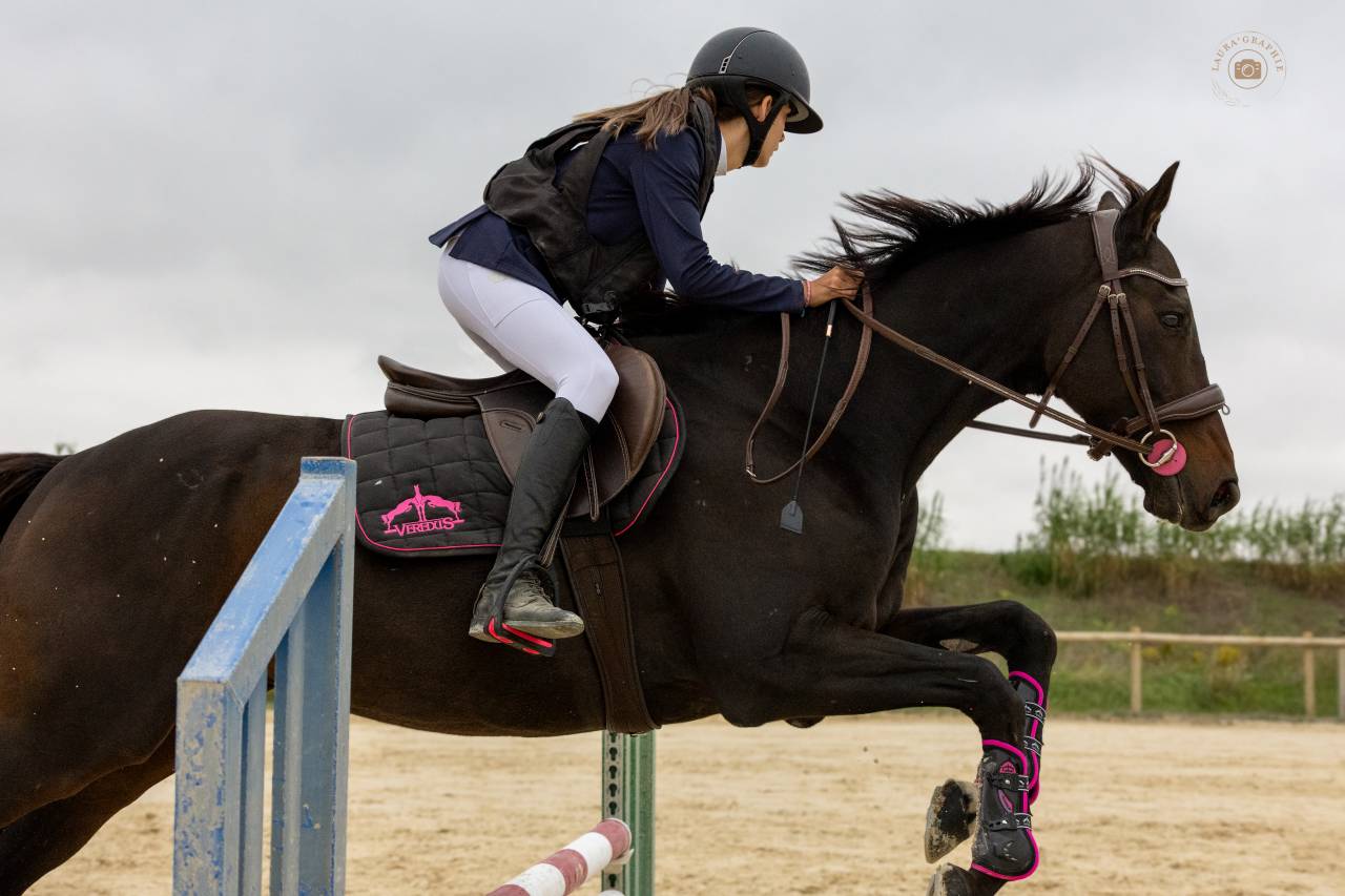super cheval &agrave; vendre 