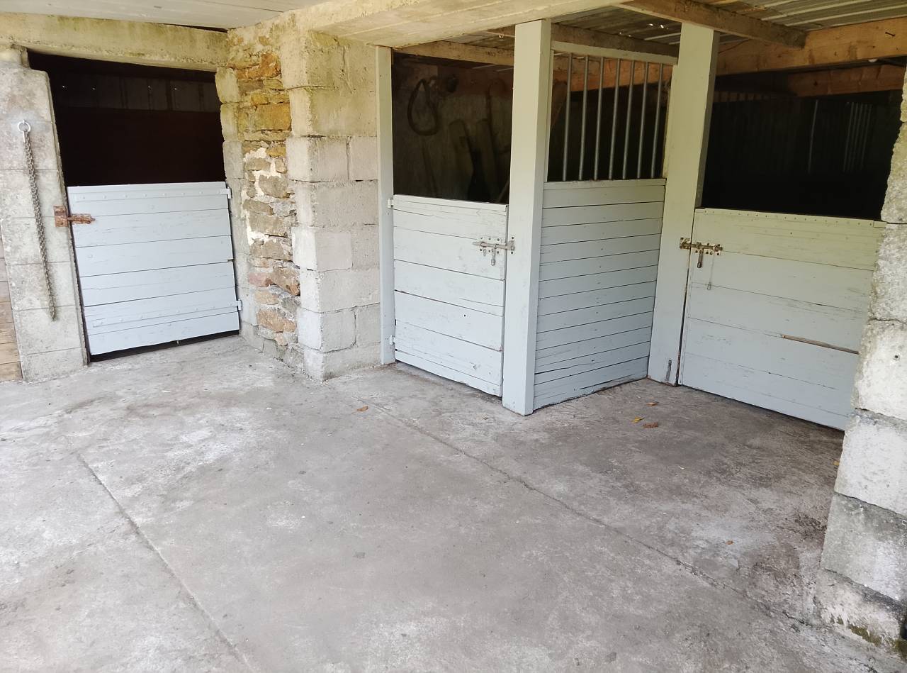 A louer petite structure equestre