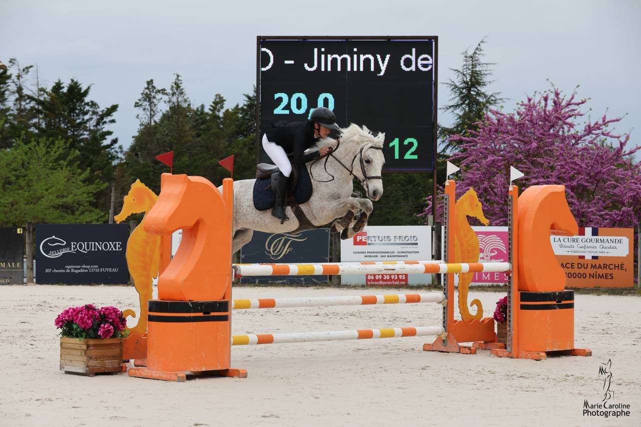 Connemara de 7 ans 
