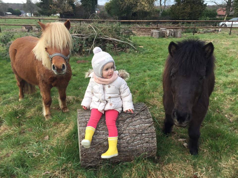 Eristoff du Chenilly, shetland PP, 12 ans