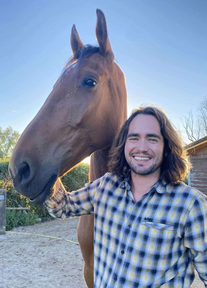 (59 NORD) Cheval calme et doux pour loisir et rando