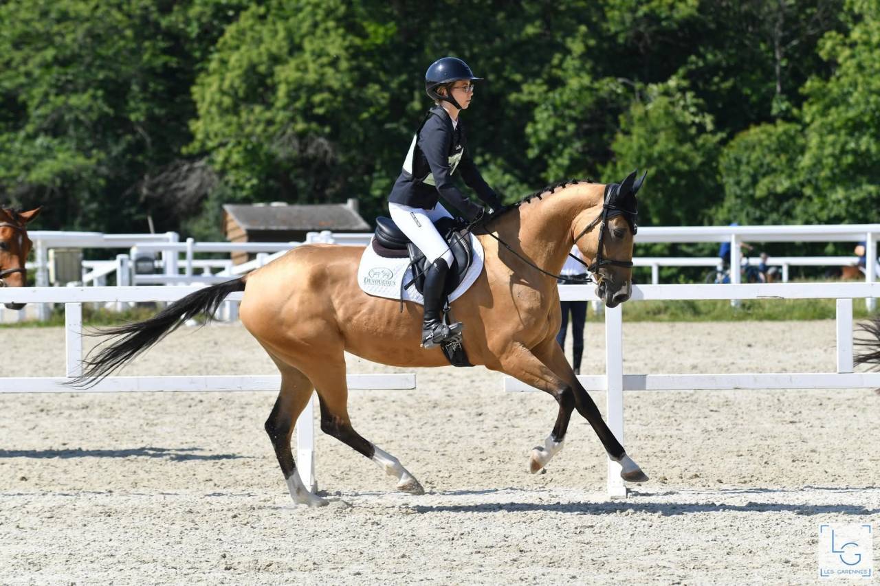 Jument akhal-teke 9 ans