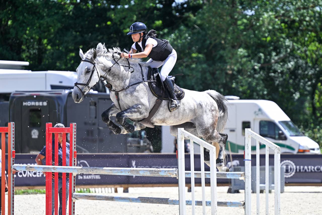 Jument zangersheide 8ans 