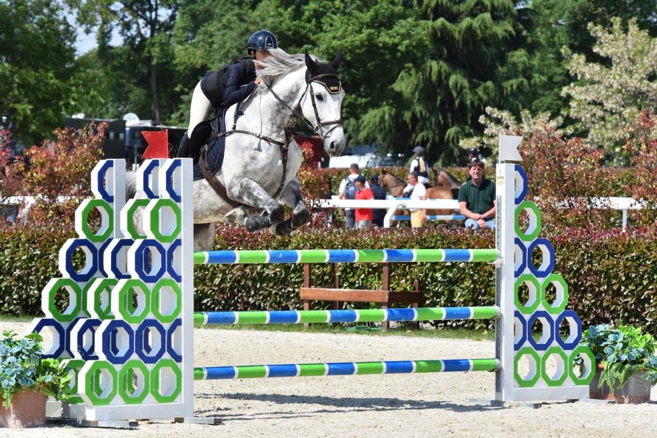 Jument zangersheide 8ans 