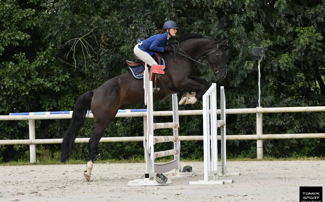Cheval SF CSO