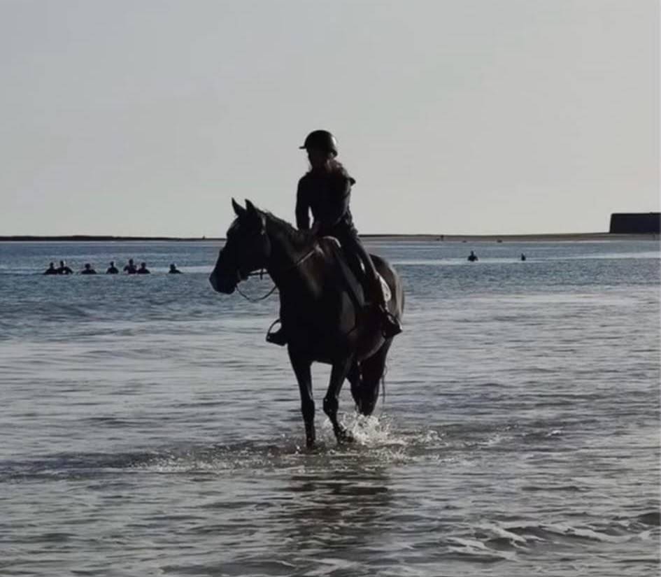 Demi pension Cheval 