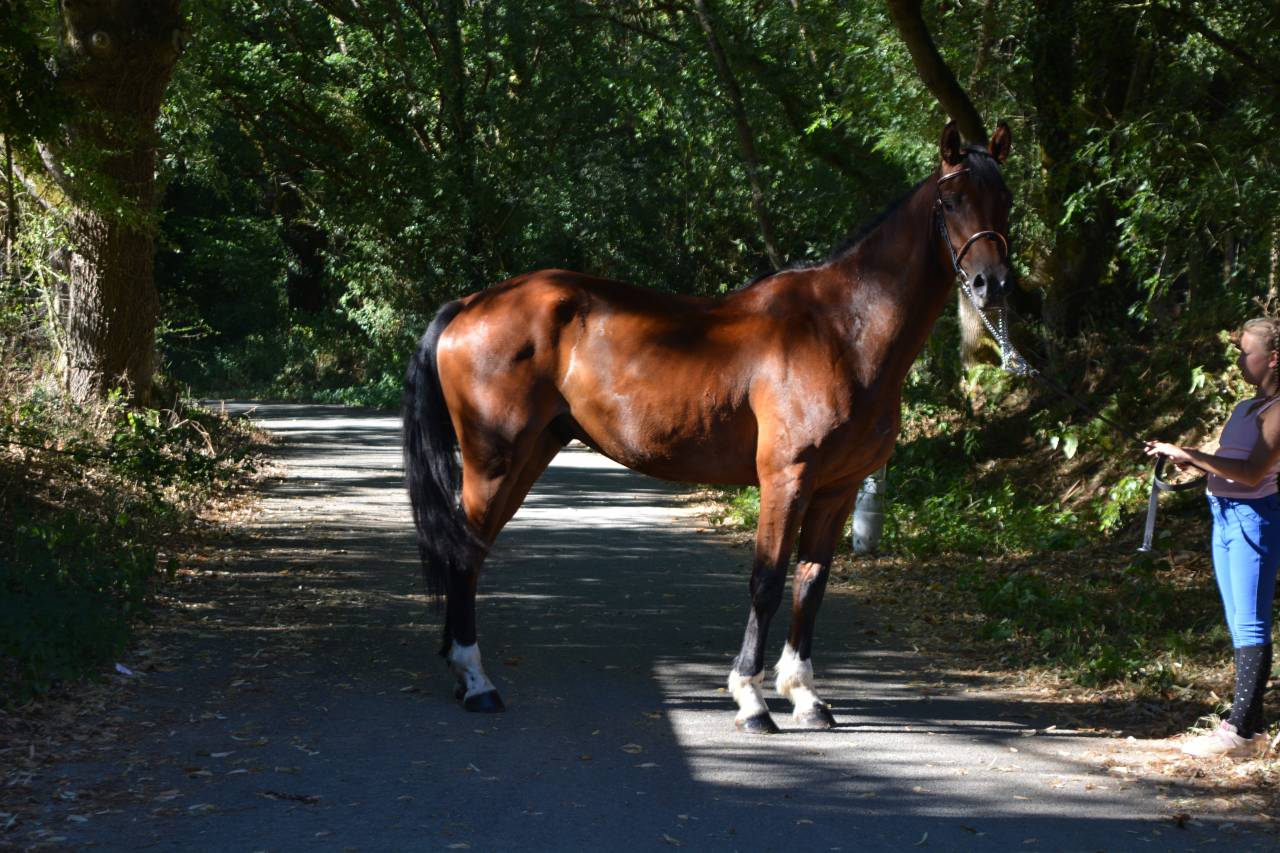 PROMETTEUR 5 ANS PAR CICAVE DU TALUS X CALVARO
