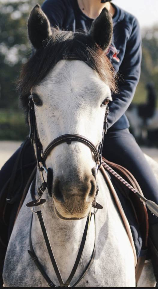 Ponette D &agrave; prendre en dp