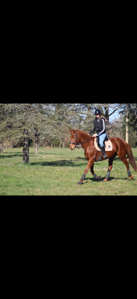Epona du rei douzy AA