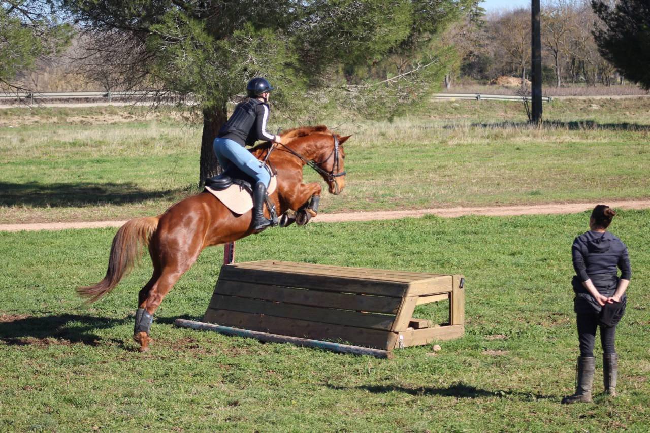 Epona du rei douzy AA