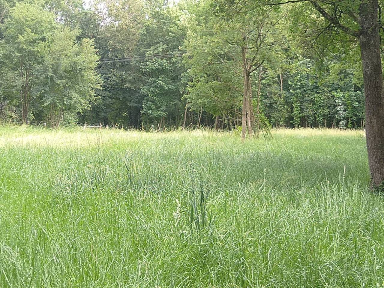 1013739_1785160961_9785.jpg