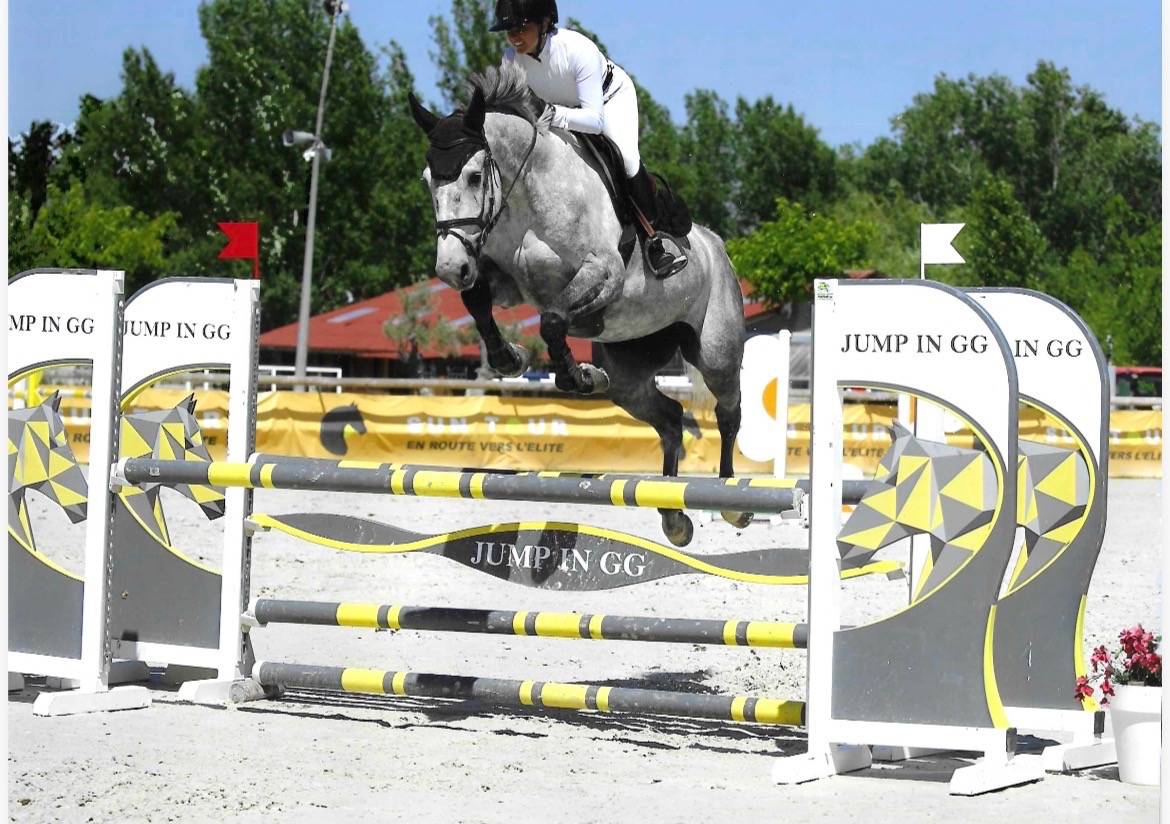 Jument de CSO 5ans
