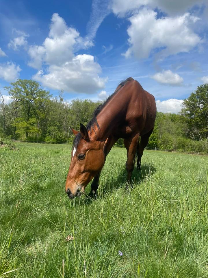 Jolie trotteuse 6 ans