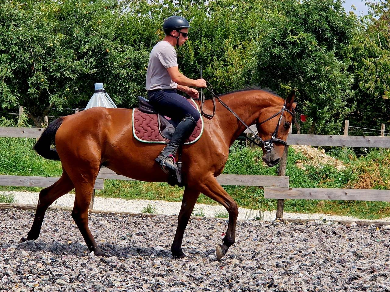 Jolie trotteuse 6 ans