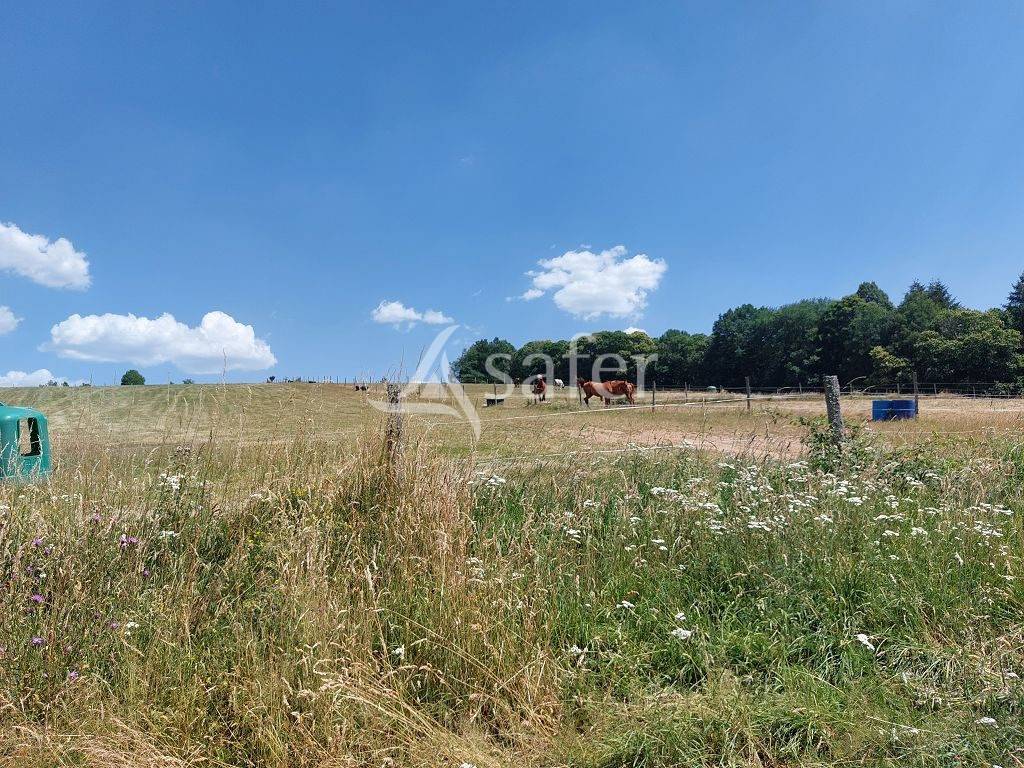 Propri&eacute;t&eacute; agricole d'environ 50 ha sur le Plateau de Millevach