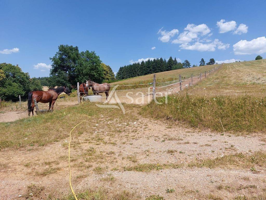 Propri&eacute;t&eacute; agricole d'environ 50 ha sur le Plateau de Millevach