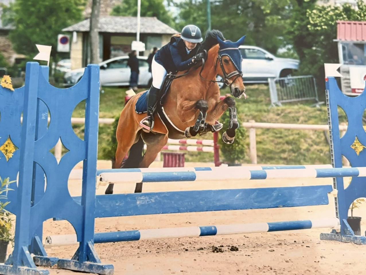 Petit cheval CSO pour enfant 