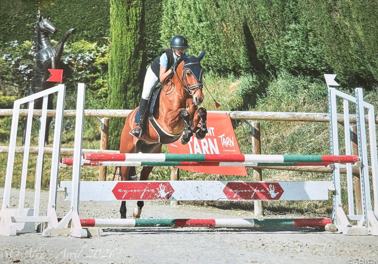 Petit cheval CSO pour enfant 