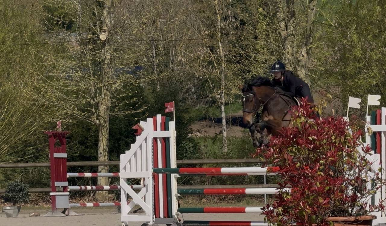 super jument cso 4ans 