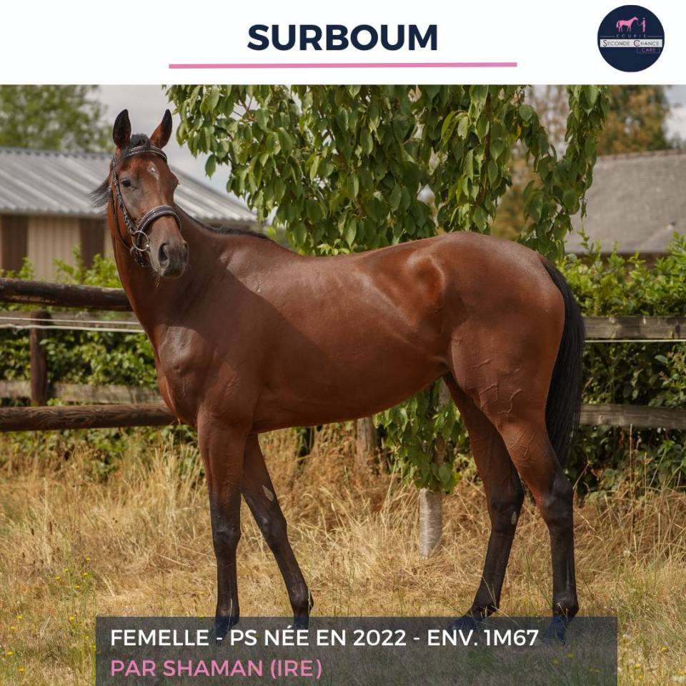 SURBOUM - PS - 4 ANS 