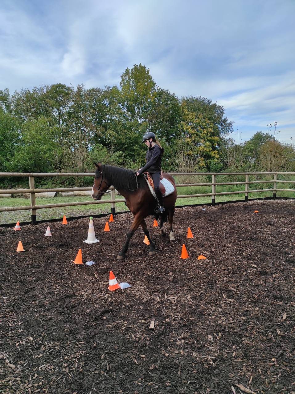 Aiko &ndash; Jument ONC bai &ndash; 16 ans &ndash; 1m55 &ndash; ch famille 5*