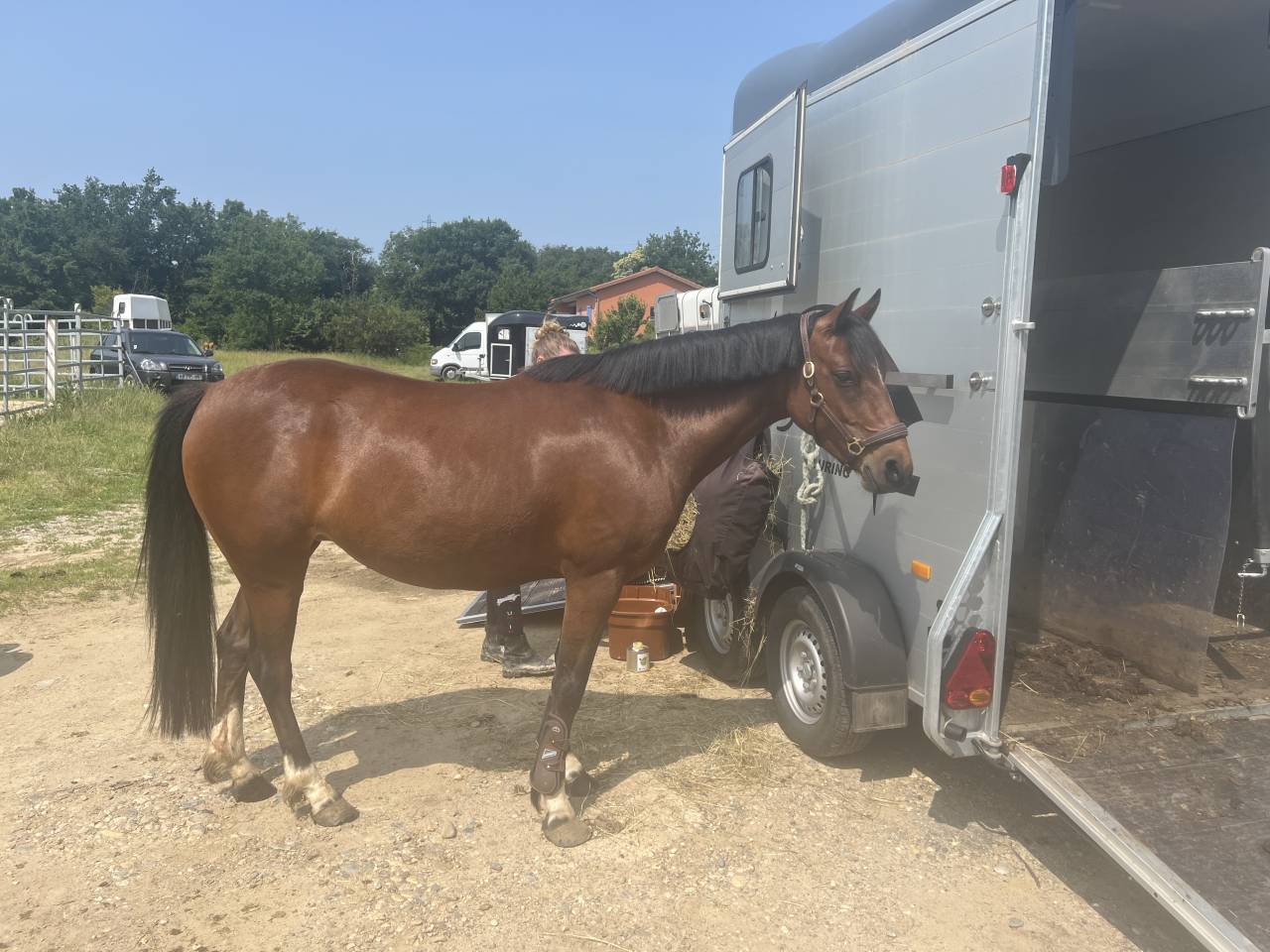 Ponette Lempicka d&rsquo;Ana 
