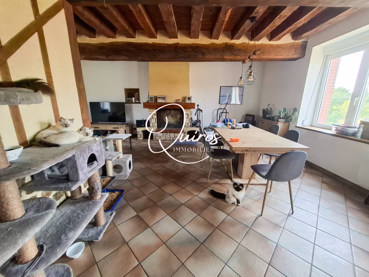 Propri&eacute;t&eacute; rural - 2,8 Hectares - Bagnoles-de-l'Orne