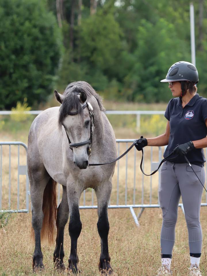 Poney 4 ans cycle classique