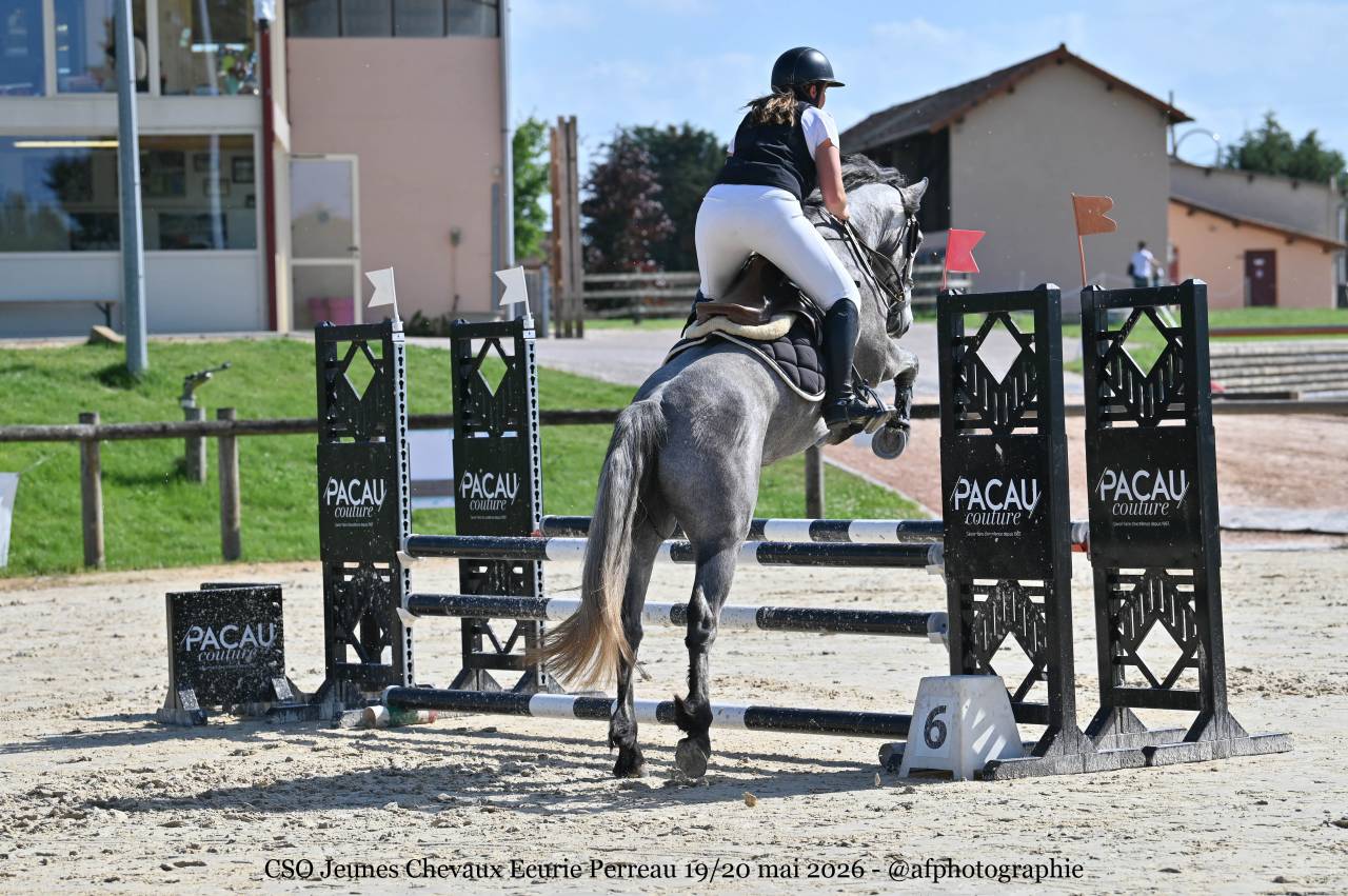 Poney 4 ans cycle classique