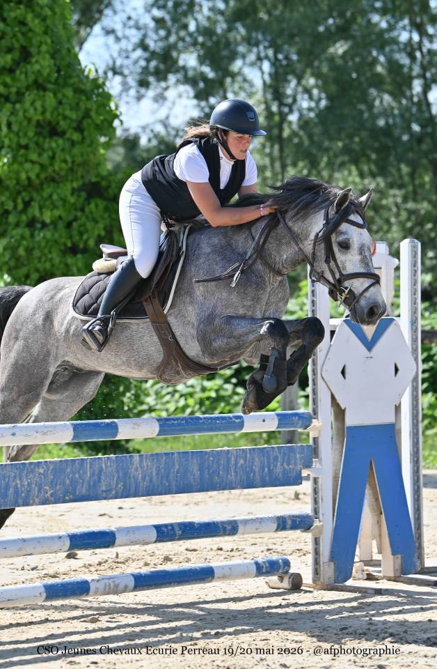 Poney 4 ans cycle classique