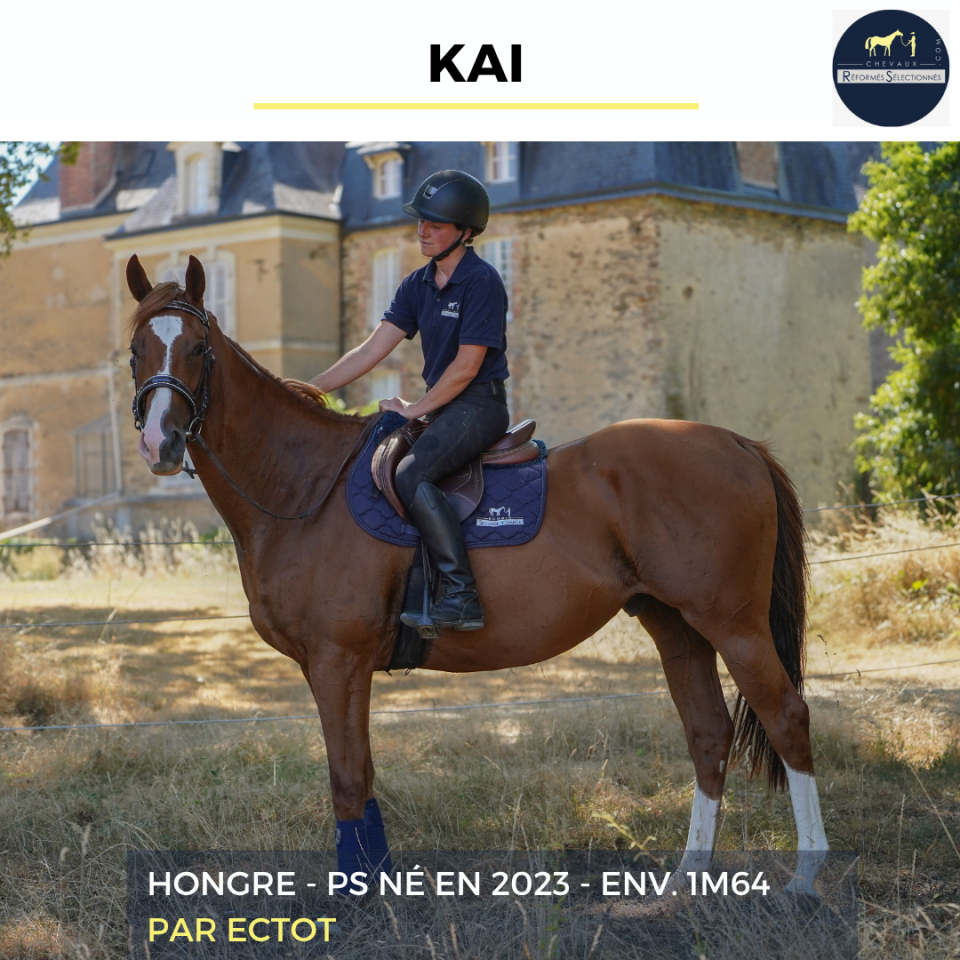 KAI - PS - 3 ANS