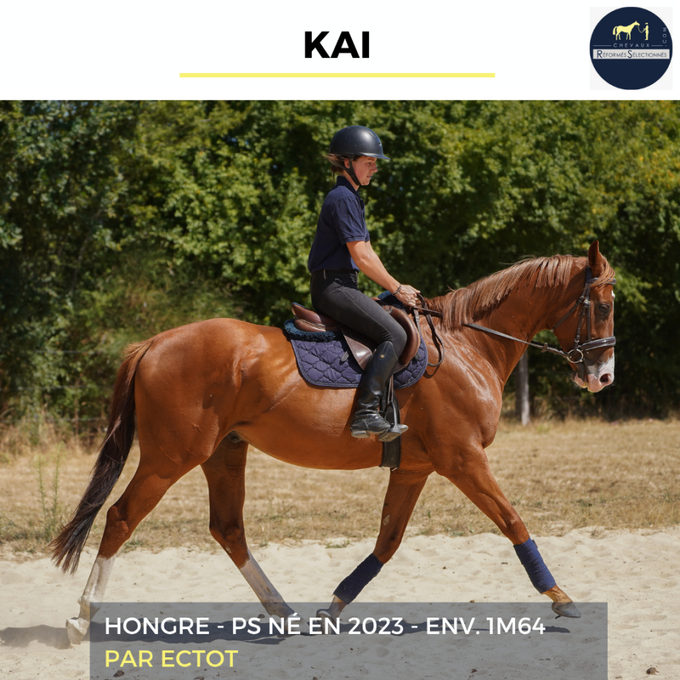 KAI - PS - 3 ANS