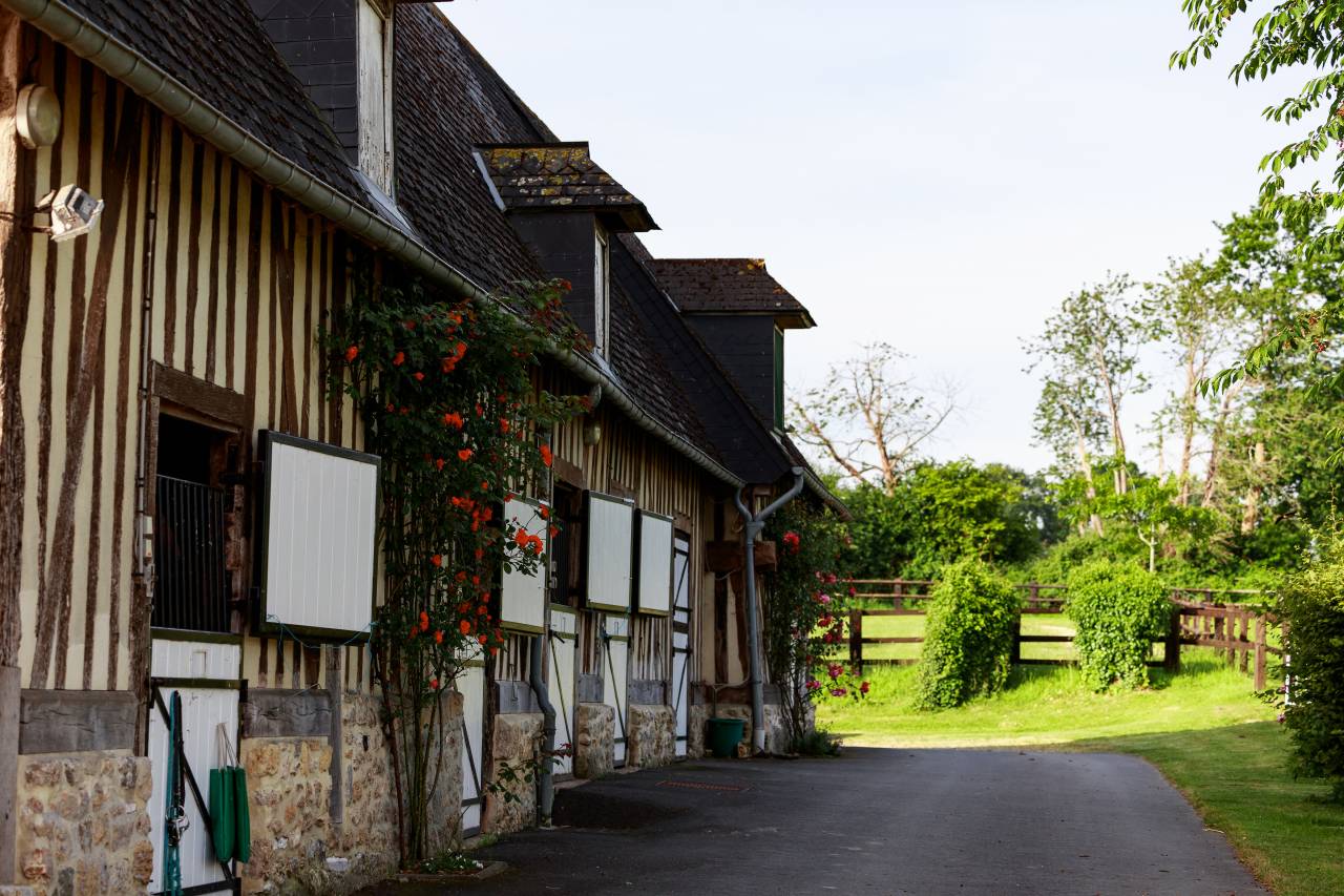 Pension chevaux aux portes de Deauville 