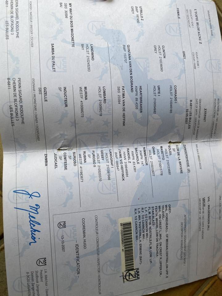&Agrave; vendre: 2 juments pleins papiers
