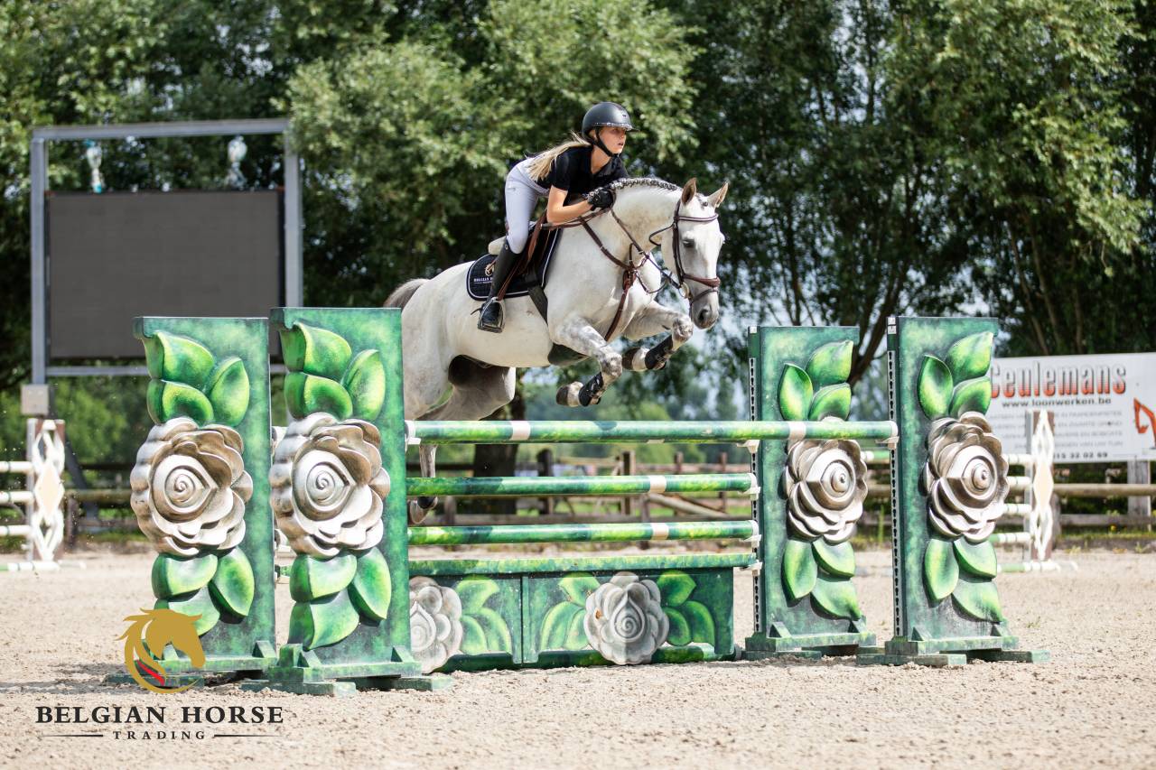 Shere Khan du Banney x Cento