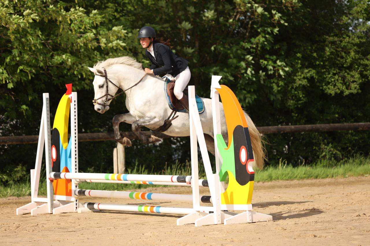 Poney D 4ans par Dexter leam pondi