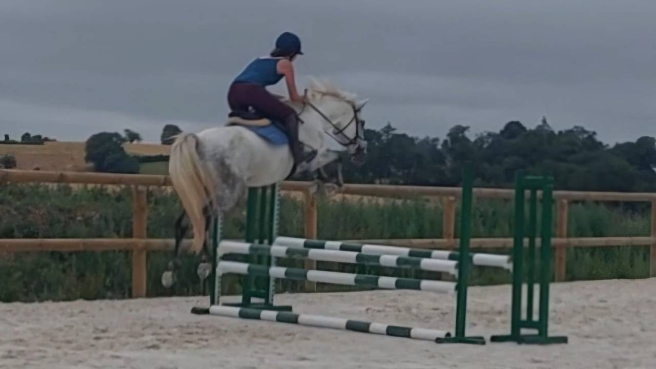 Poney D 4ans par Dexter leam pondi