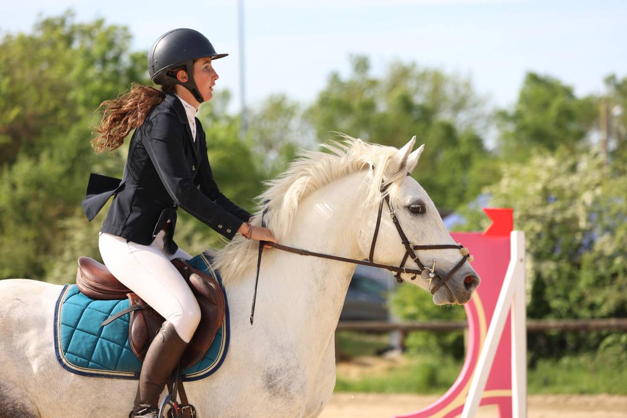 Poney D 4ans par Dexter leam pondi