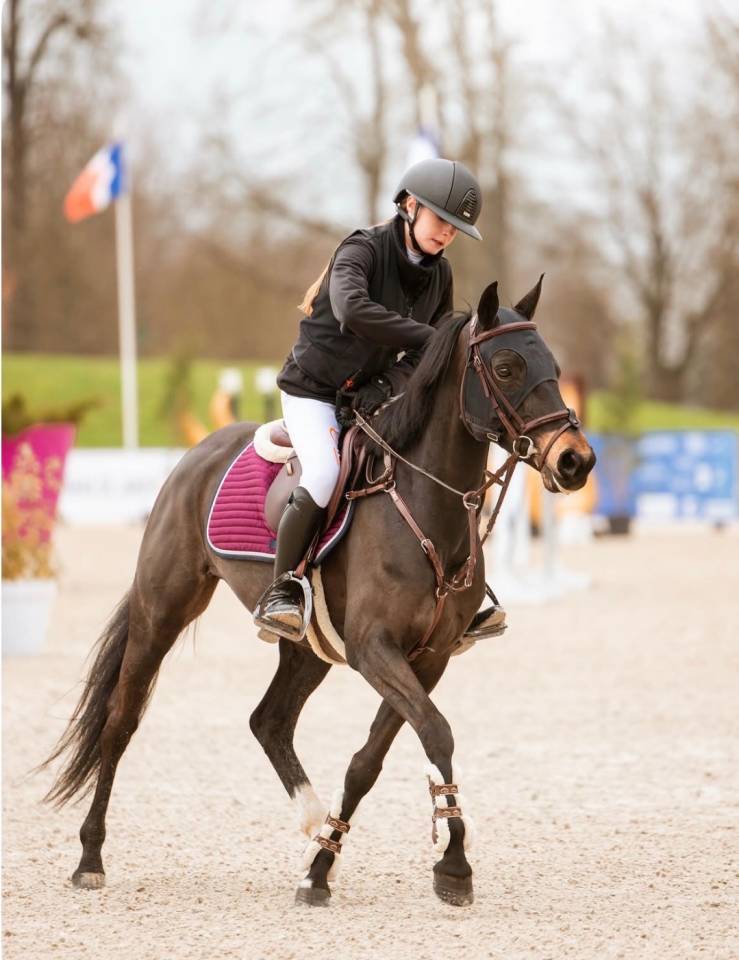 PONEY &Agrave; LOUER