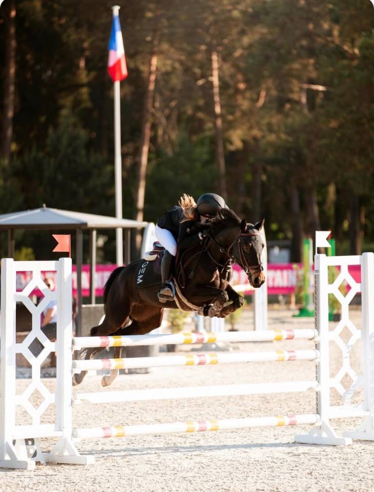 PONEY &Agrave; LOUER