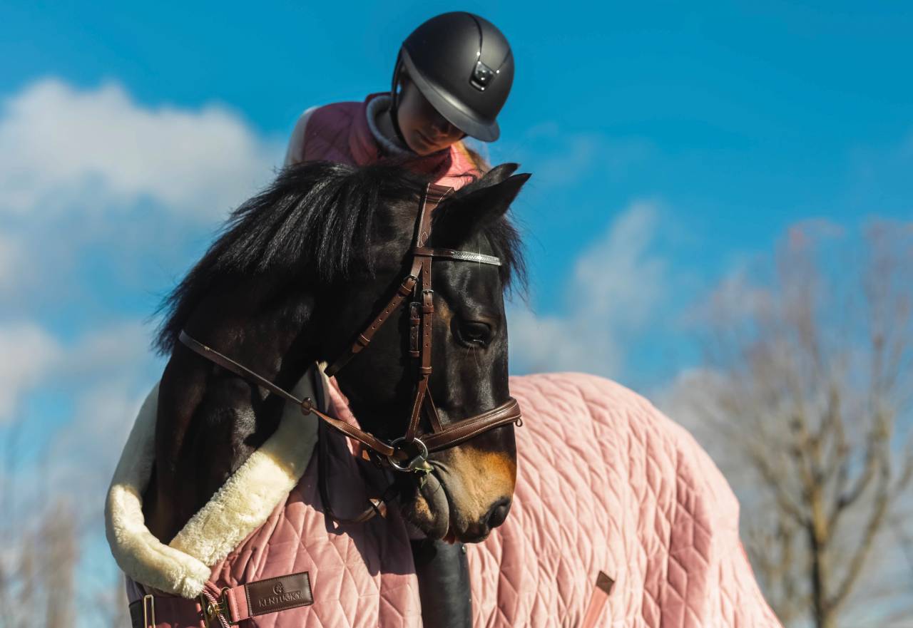 PONEY &Agrave; LOUER